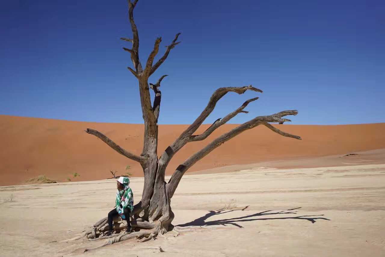 纳米比亚击败津巴布韦,晋级篮球八强的简单介绍 纳米比亚击败津巴布韦,晋级篮球八强的简单介绍