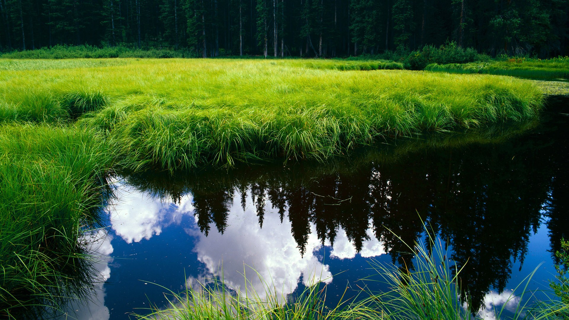 当CBA霸主跨界对决,广厦铁血锁死福克斯,东方战术哲学战胜NBA天赋