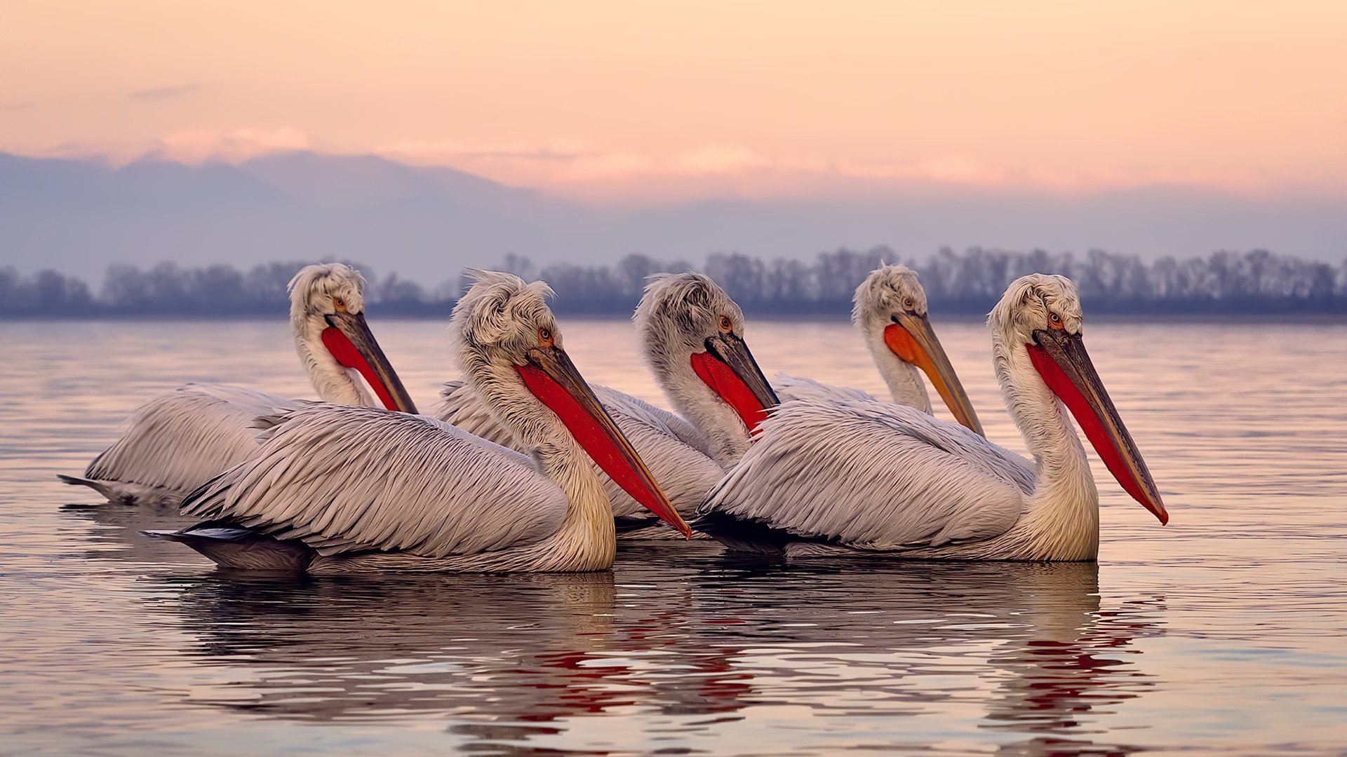 开云体育平台APP-双线战场，格列兹曼的欧洲杯艺术，与土耳其血拼日本的奥运铁血