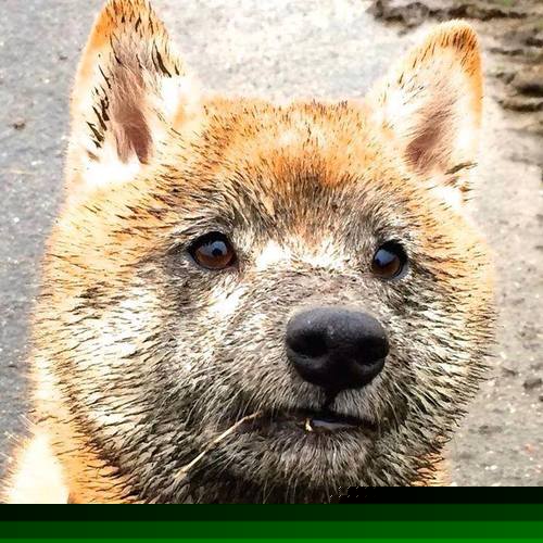 开云体育在线-黄喜灿缠绕式存在绊倒对手,哥伦比亚客场险胜亚特兰大