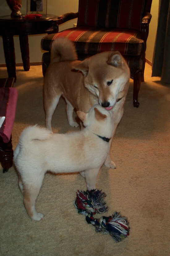 开云体育-唯一对决,赖斯空中手术刀刺穿蓝鹰