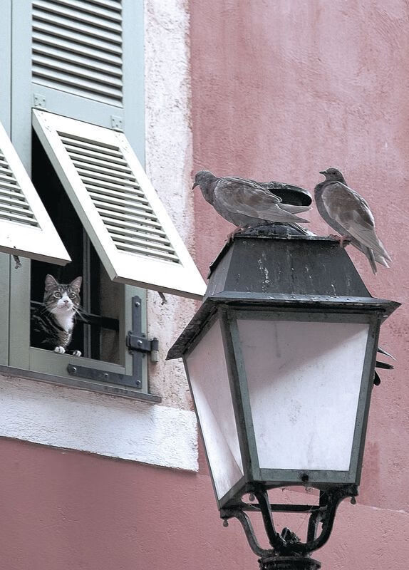 开云体育登录-关键先生凯塞多，切尔西压哨战胜丹麦的幕后英雄