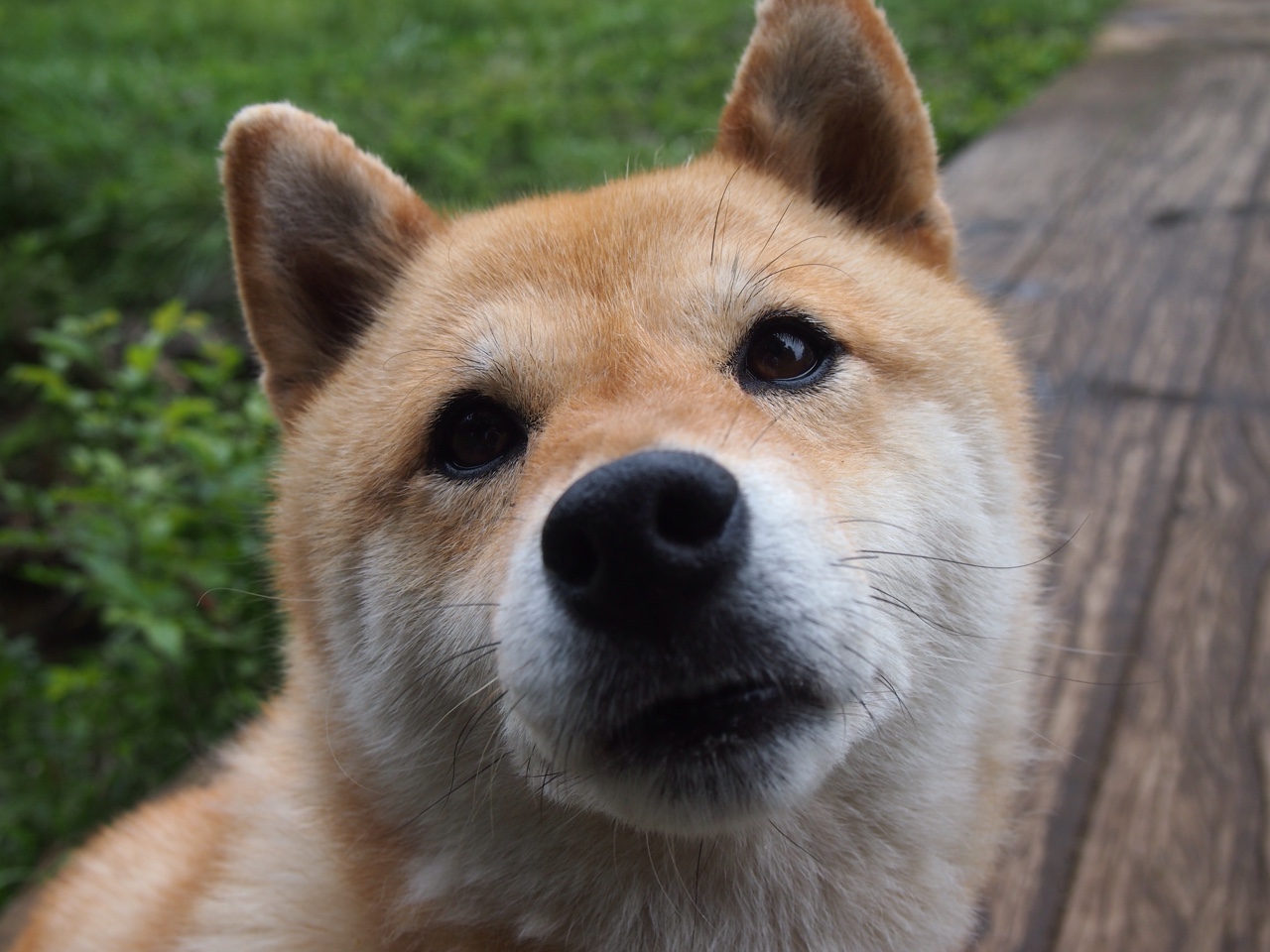 绝杀夜，沙漠奇迹如何撕裂蓝色王朝，蒂亚戈如何成为唯一神话