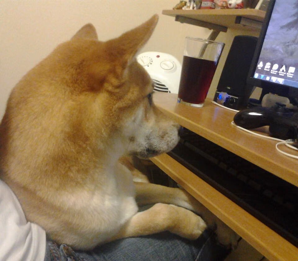 开云体育中国-铁幕之后,淬火重生,奥利维耶一锤定音助西班牙淘汰澳大利亚