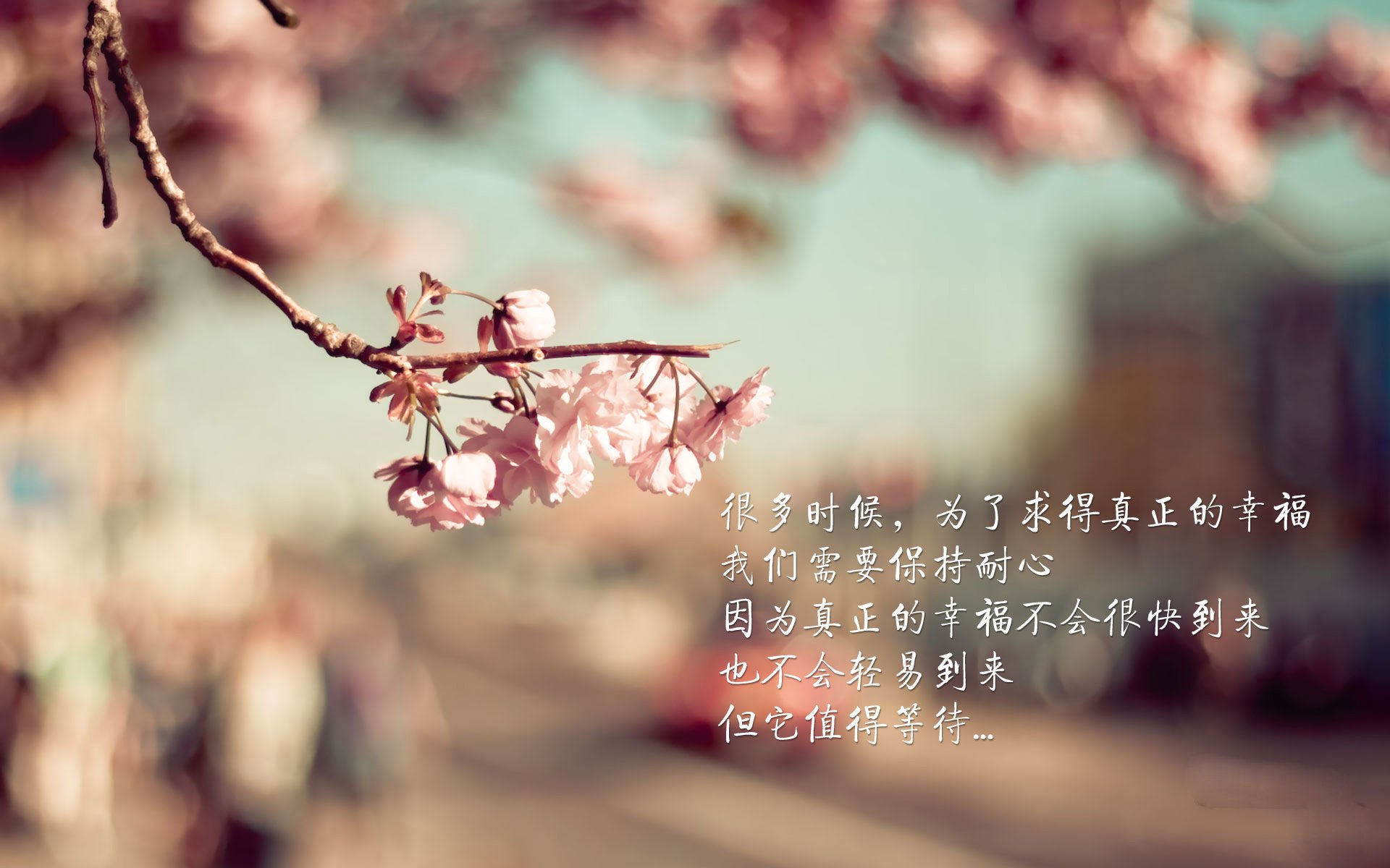 开云体育入口-迪马利亚单圈制胜,当足球巨星在赛道与绿茵的交叉点接管比赛