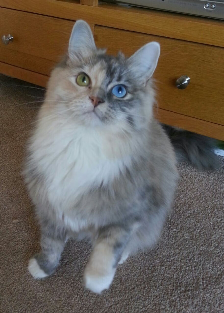 狼牙噬鹿！爱德华兹关键三分打穿雄鹿防线，森林狼宣告联盟新格局