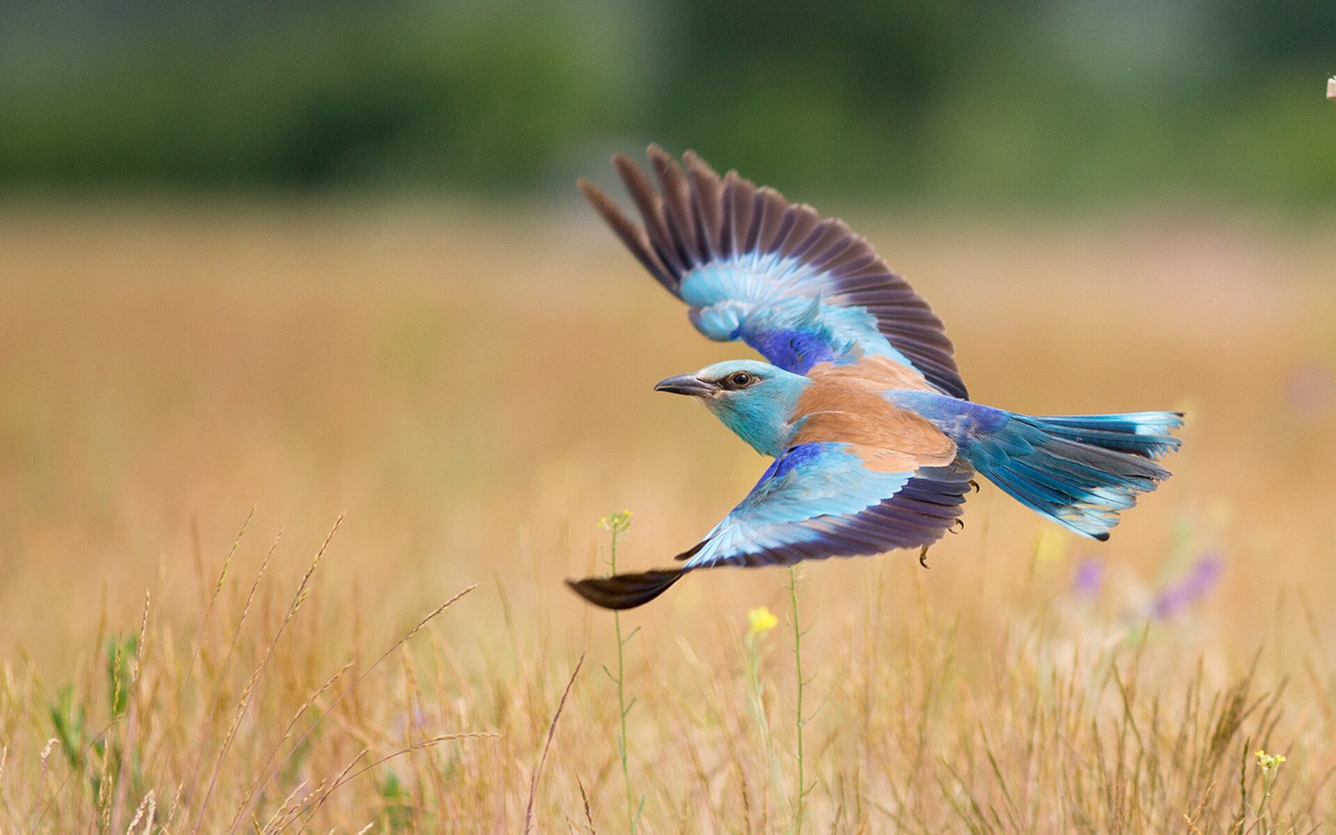 开云体育-终极假设,当季后赛抢七制遭遇足球神话—曼城在平行时空稳稳拿下韩国的文化解构