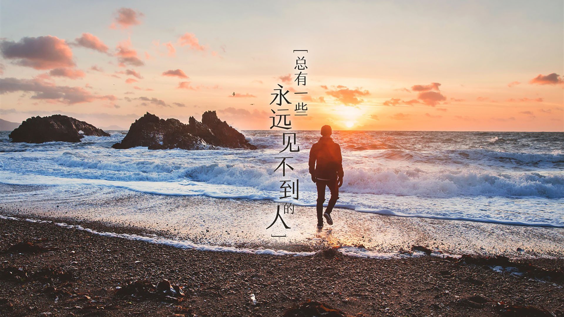 南十字星对决,奥斯梅恩一锤定音,澳大利亚关键战突围新西兰