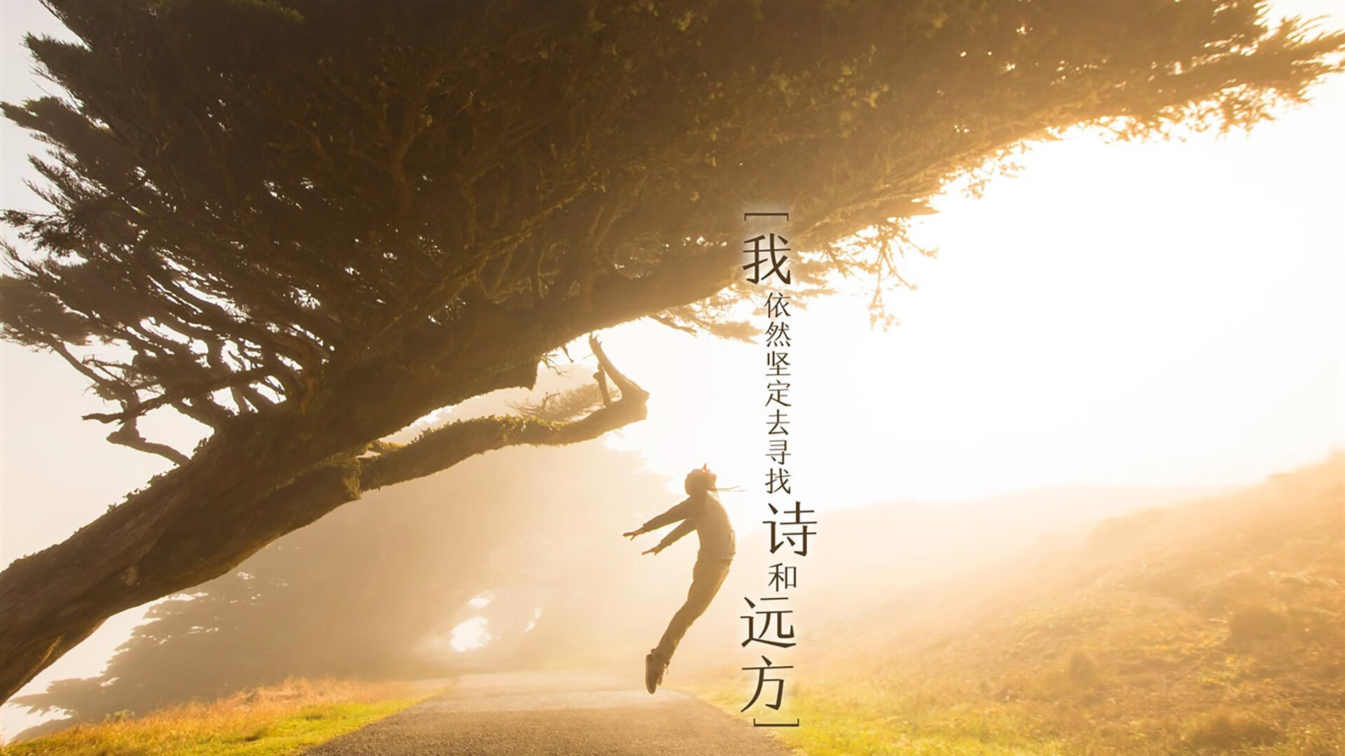 开云APP-沙漠风暴中的北欧极光,2026世界杯B组,丹麦童话以足球之名横扫阿联酋,阿方索·戴维斯独舞成王