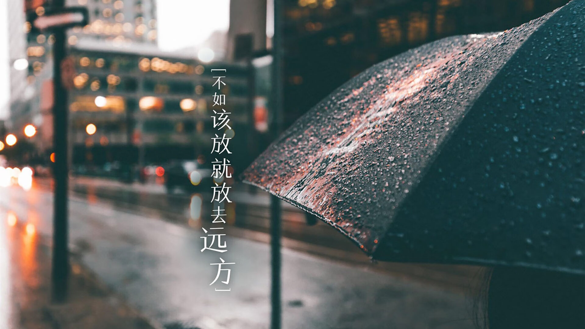 2026世界杯H组,福登闪耀全场,韩国碾压秘鲁,一场注定载入史册的强强对话