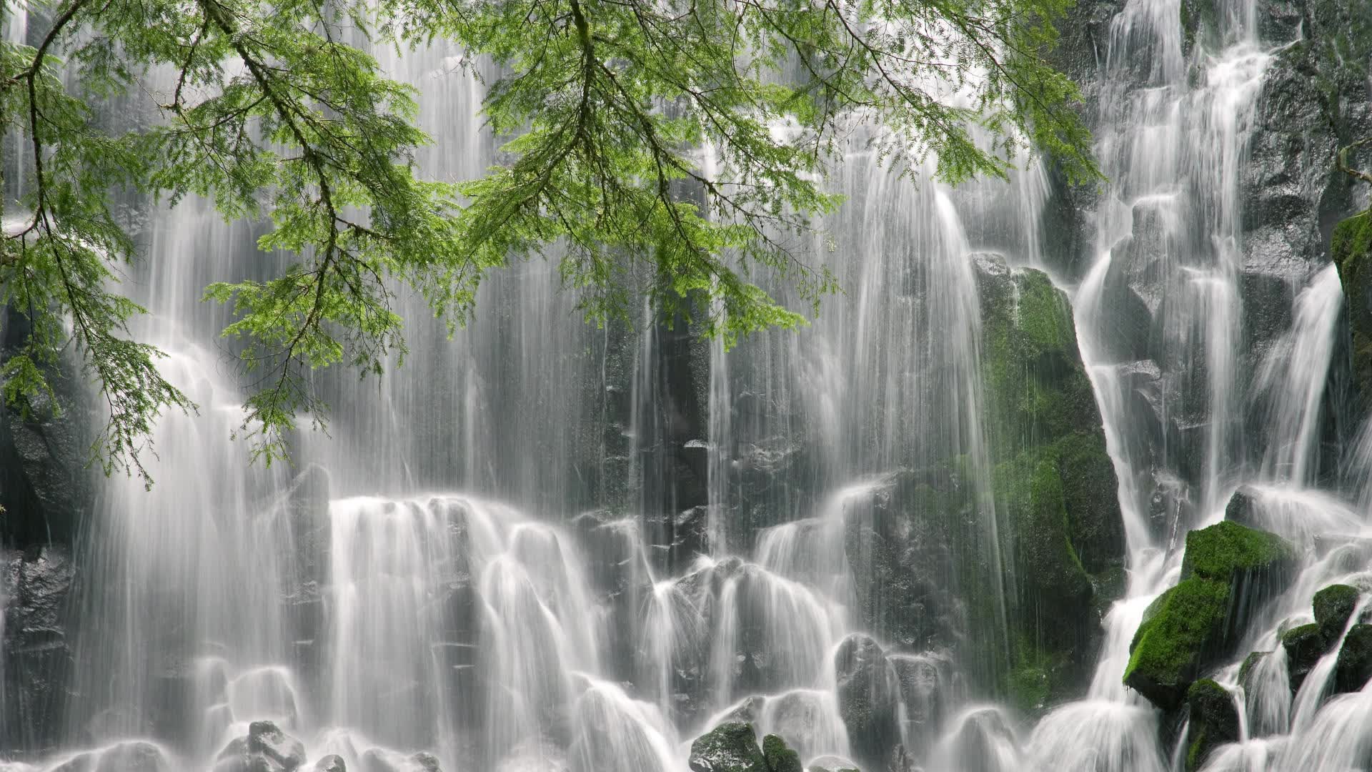 开云下载-（三个备选，由你选择或融合）